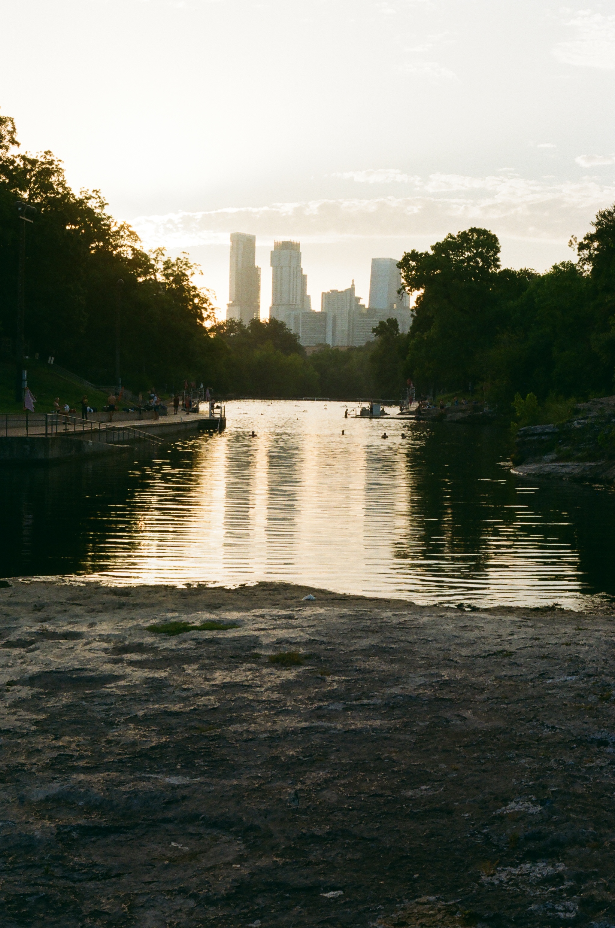 Early morning at the pool, skyline fading into the trees